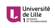 ICARE / University of Lille logo